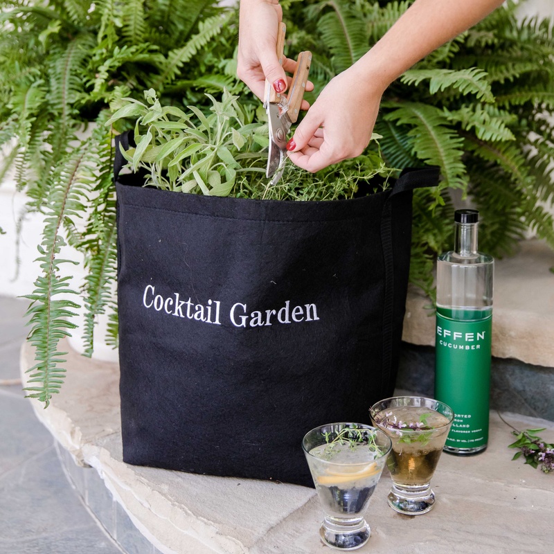 Cocktail Herb Garden Kit with Plants