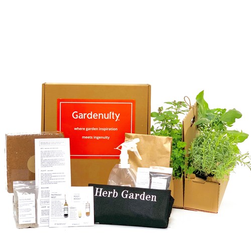 Culinary Herb Garden Kit with Plants