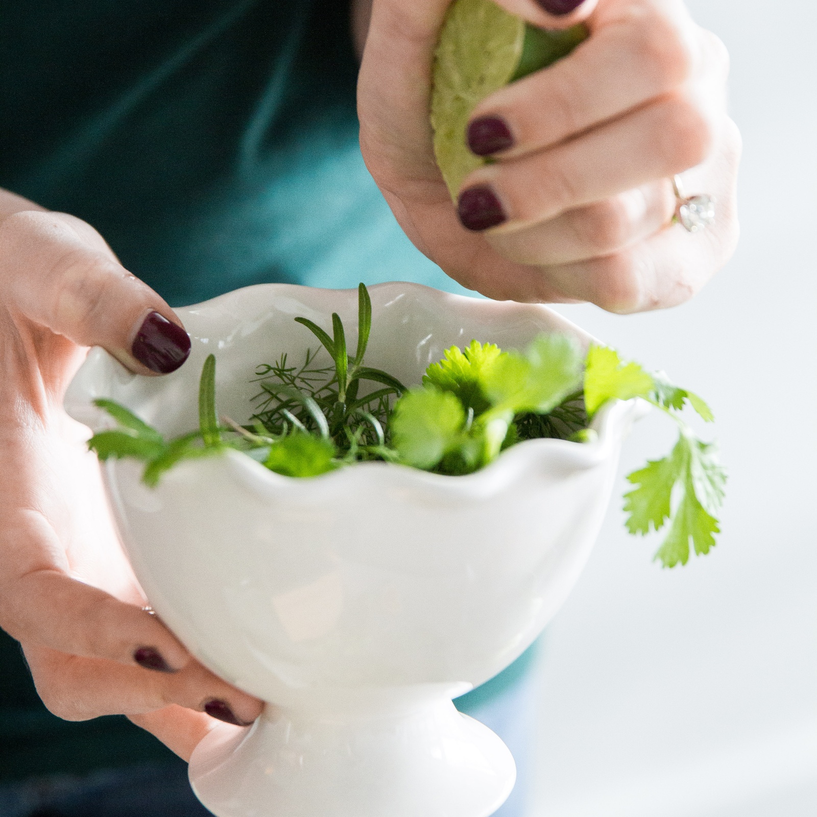 Culinary Herb Plants